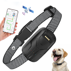 Training Tracker Dog Collar