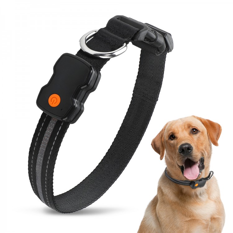 Custom Harmless Dog Collar Custom Harmless Dog Collar