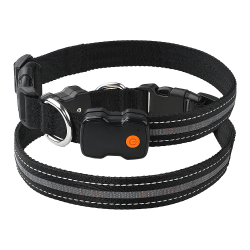 Custom Harmless Dog Collar Usb Chargeable Led Waterproof Dog Collar