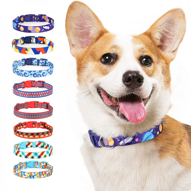 Retractable Dog Training Collar Retractable Dog Training Collar