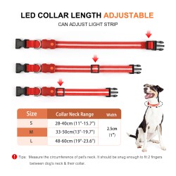 Dog Collar