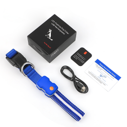 Color Dog Collar