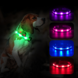 Custom Color Dog Collar Light up Dog Collar Usb Rechargeable Led Collar Dog