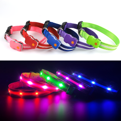 Custom Color Dog Collar Light up Dog Collar Usb Rechargeable Led Collar Dog