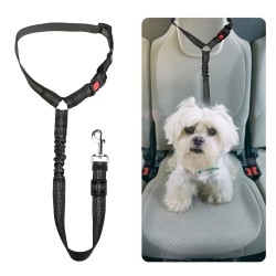 Bungee Dog Threads Leash