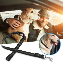 Dog Threads Leash