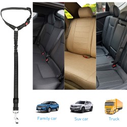 Bungee Dog Threads Leash and Bungee Buffer Dog Leash with Durable 2 Soft Padded Handles Dog Car Seat Belt