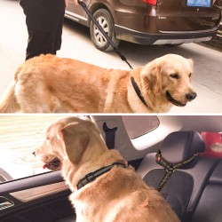 Bungee Dog Threads Leash and Bungee Buffer Dog Leash with Durable 2 Soft Padded Handles Dog Car Seat Belt