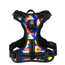 Dog Harness Stripes