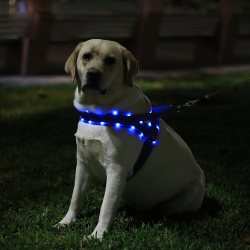Breathable LED Dog Harness