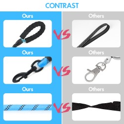 Custom Dog Nylon Leash