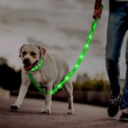 Safety Flashing Leash