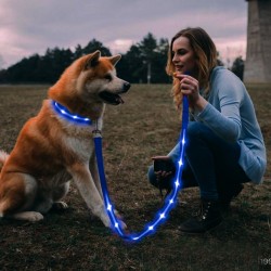 Night Safety Flashing Leash
