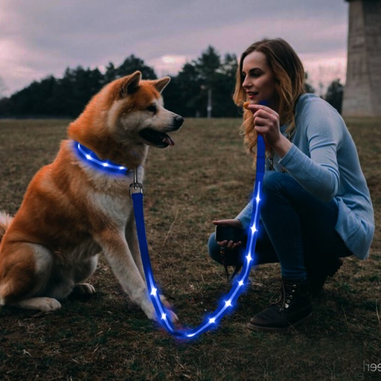 Night Safety Flashing Leash