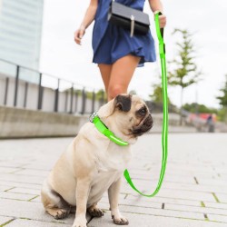 Night Safety Flashing Leash Glow in the Dark Led Nylon Pet Dog Leash