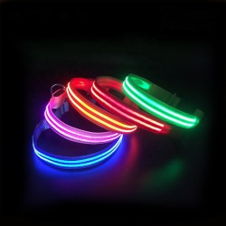 LED Dog Collar