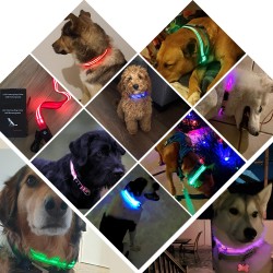 Waterproof LED Dog Collar Usb Rechargeable Nylon Flashing Light up Led Dog Collar