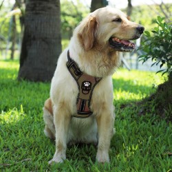 Breathable Nylon Dog Harness