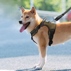 Nylon Dog Harness