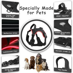 Vest Harness