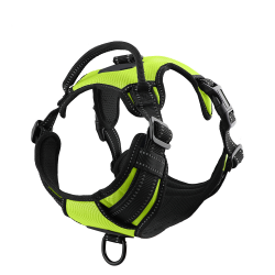 Dog Harness Set