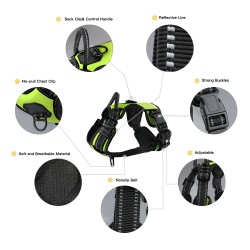 Harness Set