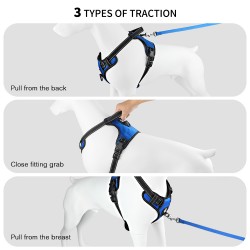 Dog Harness