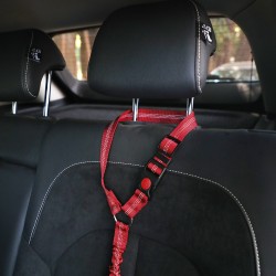 Seatbelt Harness