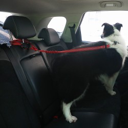 Adjustable Dog Seatbelt Harness Manufacturer Multi-Colors Nylon Pet Dog Seat Belt