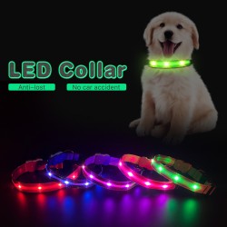 Dog Leash Collar