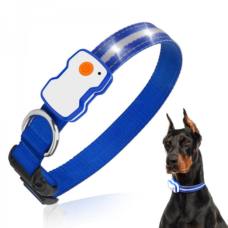 Wholesale Dog Leash Collar Wholesale Dog Leash Collar