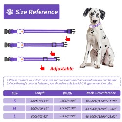 Wholesale Dog Leash Collar LED Lights Customized Dog Leash Collar Led Pet Collar