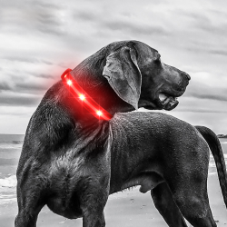 Wholesale Dog Leash Collar LED Lights Customized Dog Leash Collar Led Pet Collar