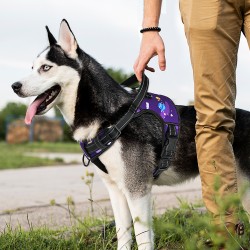 Harness Vest