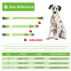 LED Collar