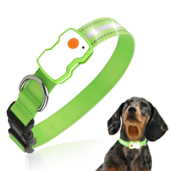 Custom Dog LED Collar