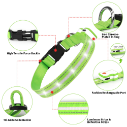 Custom Dog LED Collar and Rechargeable Dog Collar Led Light