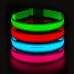 Custom Safe Dog Collars