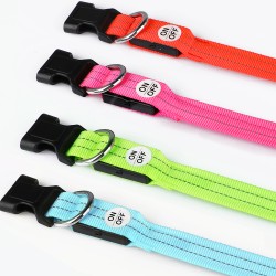 Dog Collars