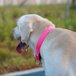 Custom Safe Dog Collars Glowing in Dark Make Rechargeable Led Dog Collar