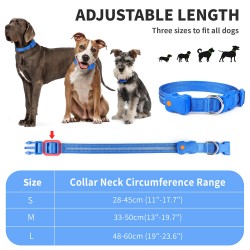 Dog LED Collar