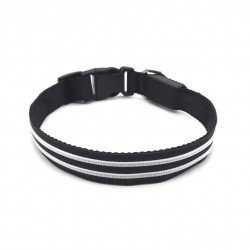 LED Dog Collar