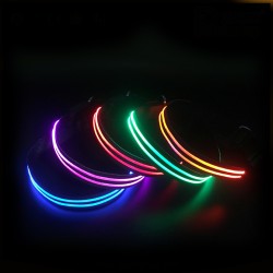Custom LED Dog Collar