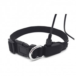 Dog Collar