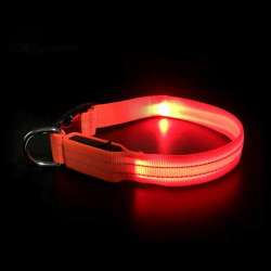 Dog Nylon Collar
