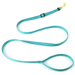Training Dog Leash