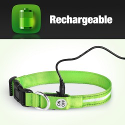 LED Dog Collar