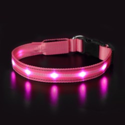 Fluorescent LED Dog Collar Running COLLARS Reflective Nylon Led Collar