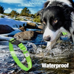Fluorescent LED Dog Collar Running COLLARS Reflective Nylon Led Collar
