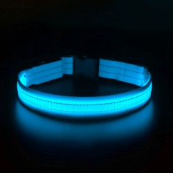 Innovative LED Dog Collar